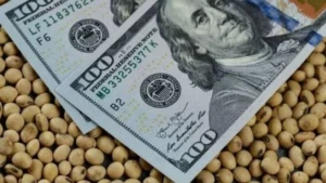 Julio fue el mejor mes del año en ingresos por exportaciones