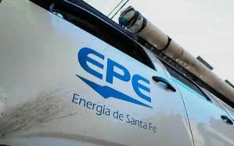 La EPE detectó casi 50 mil conexiones irregulares