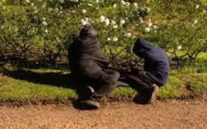 La Escuela de Jardinería dictará talleres durante el mes de julio