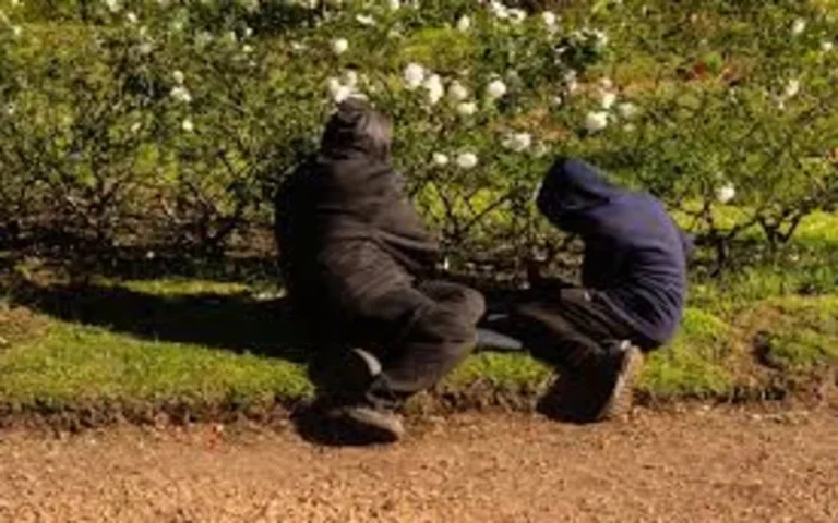 La Escuela de Jardinería dictará talleres durante el mes de julio