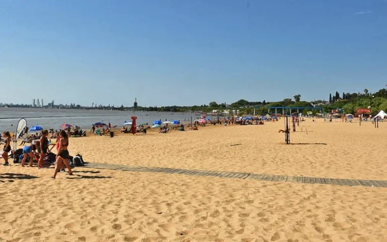 enero colmado en la florida