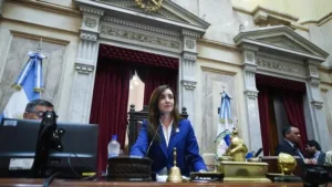 Dictamen favorable para la ley bases