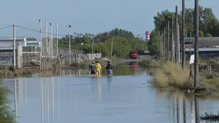 La ONU asignará fondos a Bahía Blanca y Chaco