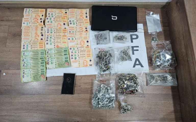 La PFA desbarató una red narcocriminal que vendía hongos alucinógenos 