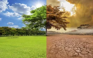 La ONU despliega una campaña mundial por el cambio climático