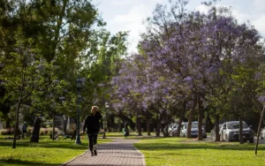 La ciencia confirmó que la primavera comenzará el 22 de septiembre: ¿cómo estará el clima?