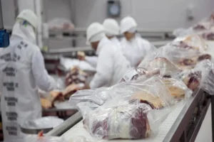 La exportación de carne vacuna creció un 25,1% interanual
