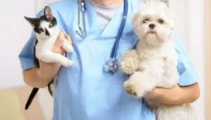 La importancia de la esterilización de las mascotas
