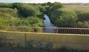 La investigación reveló más datos del cuerpo encontrado en el canal Ibarlucea.