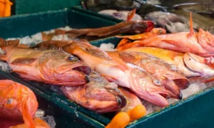 La Pescadería Móvil recorre Rosario con ofertas imperdibles.