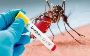 La provincia confirmó 7580 casos de dengue en el territorio