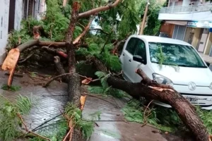 Consecuencias de una fuerte tormenta en Rosario
