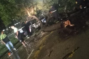 tormenta ne Rosario