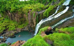 Las Yungas, un tesoro para visitar en cualquier época del año