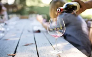 Las exportaciones de la cadena del vino llegaron casi a USD 1.000 millones en 2024