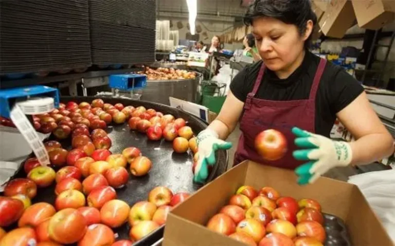 Las exportaciones de las economías regionales aumentaron en toneladas