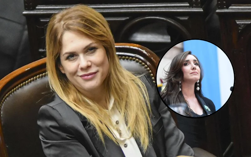 Lemoine cruzó a Villarruel por el video de Malvinas