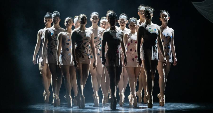 Lepidópteros Sobre las cuatros estaciones de Vivaldi