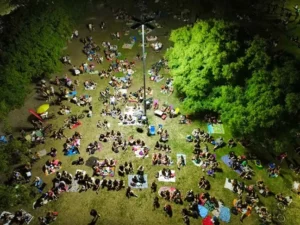 flor de picnic Rosario