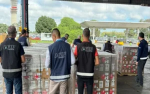 Llegó a la Argentina la primera carga de repelentes desde México