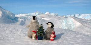 Celebra Navidad y Año Nuevo en estos destinos top