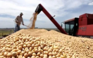 Los precios de los commodities bajaron en octubre