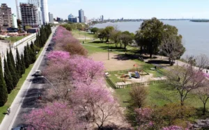 tiempo en rosario