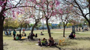 Más de la mitad de la superficie de Rosario tiene cobertura vegetal