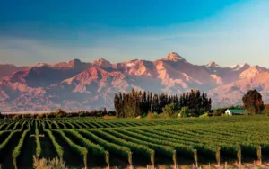 Mendoza, una buena provincia para conocer en marzo
