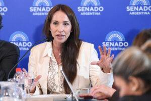 Milei defendió el freno al pliego de Michelli