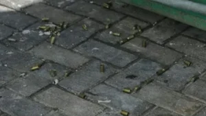 vainas servidas en el centro de Rosario