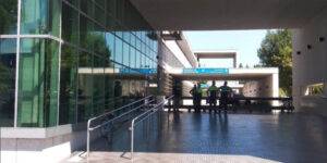 Mujer fallece tras colisionar con un móvil de Gendarmería.