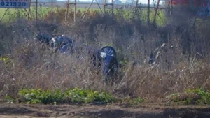 Escena de la tragedia vial ocurrida en Casilda