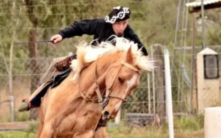Murió un jinete de Roldán en festival de doma en Buenos Aires