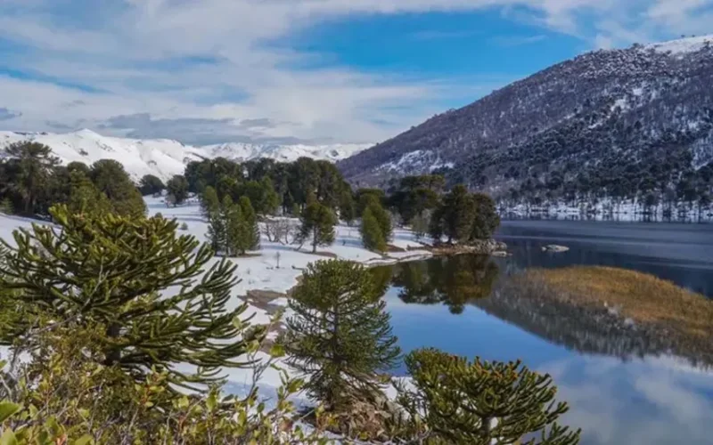Neuquén impulsa limitar tierras fiscales a argentinos