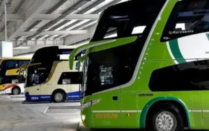 No se elimina la gratuidad del pasaje con certificado de discapacidad