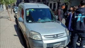 Perro en auto
