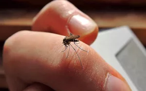 Nuevo reporte epidemiológico enciende las alarmas en la provincia