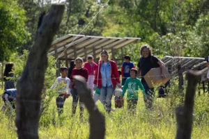 Operativo dengue santa fe