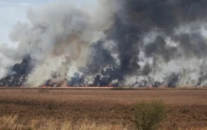 Ordenaron implementar un plan integral para frenar los incendios en el Delta