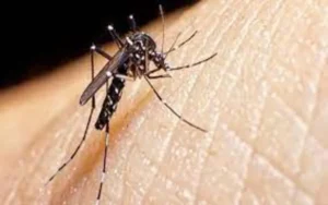 Otra muerte por dengue en Rosario, mientras crecen los casos en la provincia