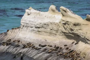 Parque Nacional Monte León, un tesoro de la Patagonia