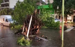 Bahía Blanca: parte de la población recuperó la electricidad