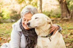 Permitirán mascotas en geriátricos para acompañar adultos mayores