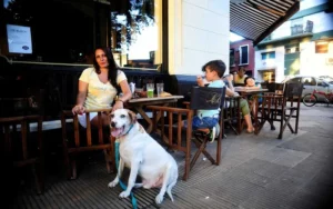 Pet friendly, una tendencia que se impone en bares y restaurantes