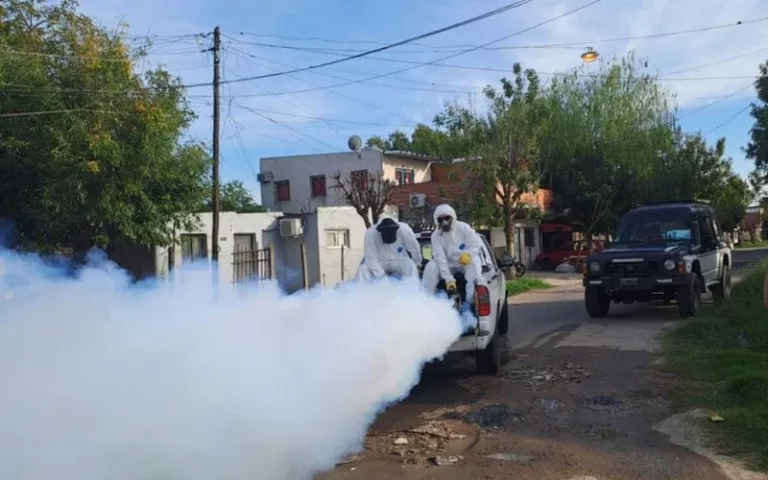 Piden que se declare la emergencia sanitaria por dengue en la ciudad