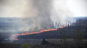 Incendios forestales Rosario