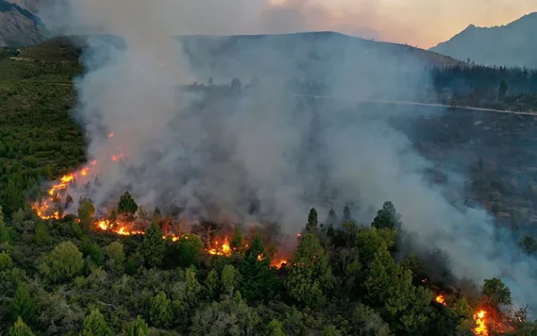 Por los incendios, denunciaron penalmente a Milei, Bullrich y Caputo