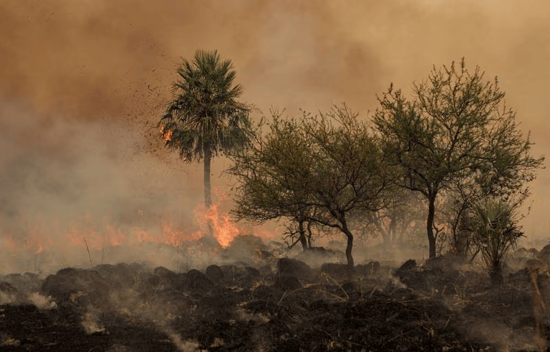 Un cigarrillo mal apagado causó el incendio de 110 hectáreas