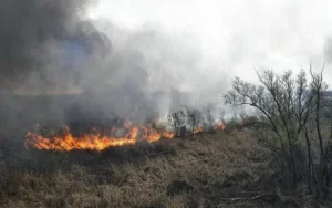 Preocupan los nuevos incendios en las islas